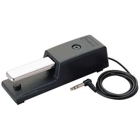 Aktuell Roland DP-10