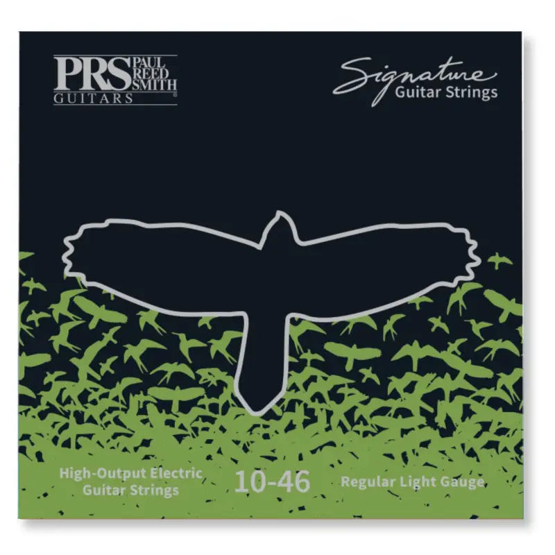 PRS Signature Strings | 010-046 Expressversand