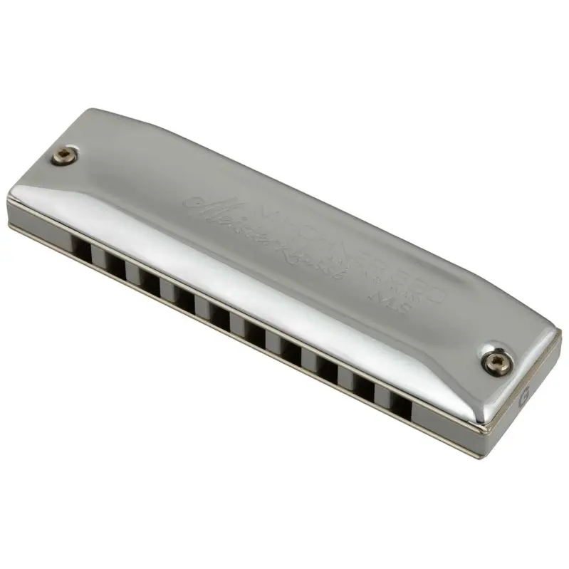 Hohner Meisterklasse MS D-Mundharmonika Kostenloser Versand